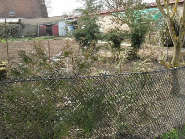 MAISON NOAILLES PROCHE- 3 pièce(s) 60 m2, GARAGE, JARDIN