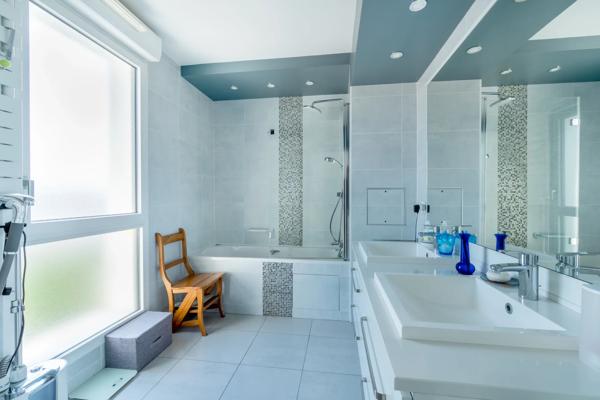 Penthouse Paris 15 e - CONVENTION