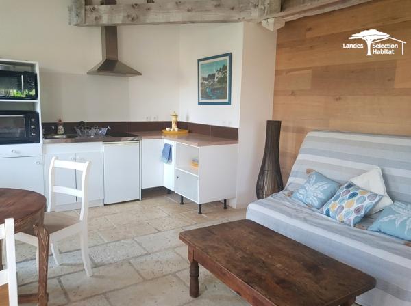 Ensemble immobilier d'exception de 380 m² hab. , piscine, dépendances et revenus locatifs Riviere saas et gourby
