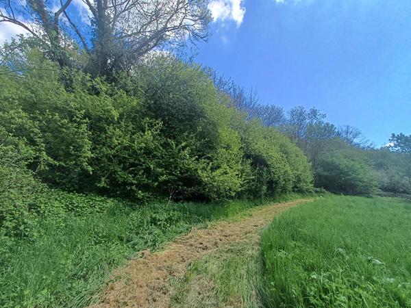 Terrain Vieilmoulin 2235 m2