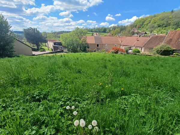 Terrain Vieilmoulin 2235 m2