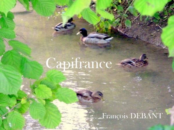 Terrain à vendre ()