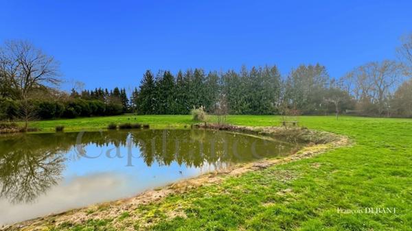 Terrain à vendre ()