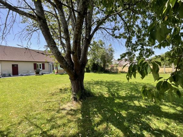 Vente / Maison de plain-pied