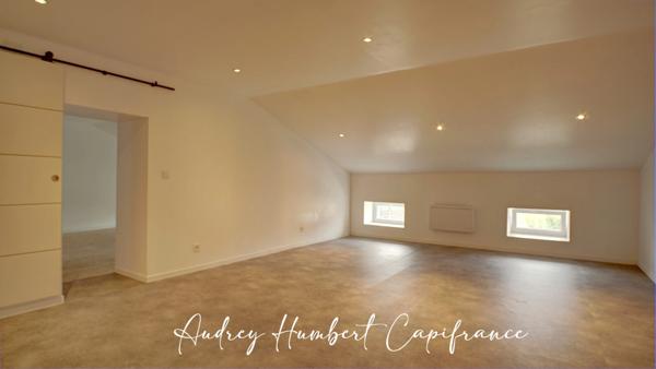 Appartement rénové à vendre MANGIENNES (55) - 192 m² carrez - grandes pièces - 4 ou 5 chambres