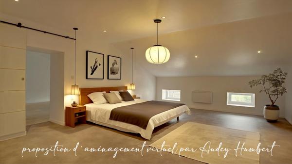 Appartement rénové à vendre MANGIENNES (55) - 192 m² carrez - grandes pièces - 4 ou 5 chambres