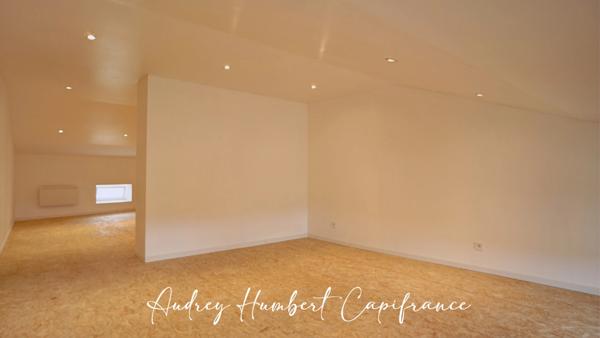 Appartement rénové à vendre MANGIENNES (55) - 192 m² carrez - grandes pièces - 4 ou 5 chambres