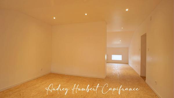 Appartement rénové à vendre MANGIENNES (55) - 192 m² carrez - grandes pièces - 4 ou 5 chambres