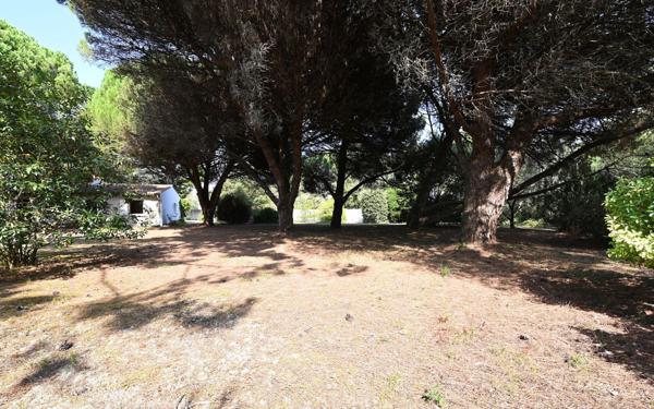 Maison à vendre    4 pièces •  Les Portes-en-Ré