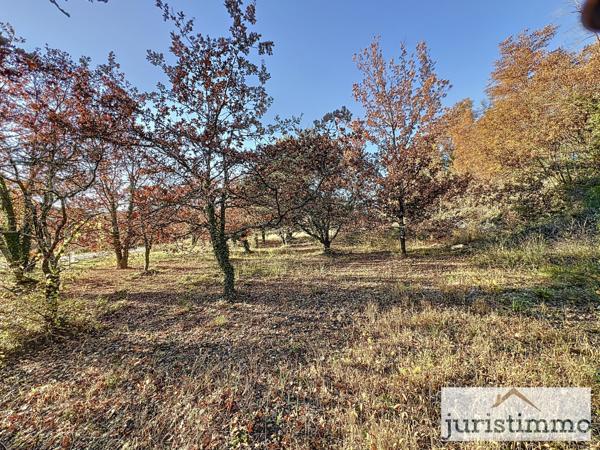 Entrechaux (84340) BELLE PROPOSITION ..... Terrain constructible hors lotissement de 1335 m2 à Entrechaux