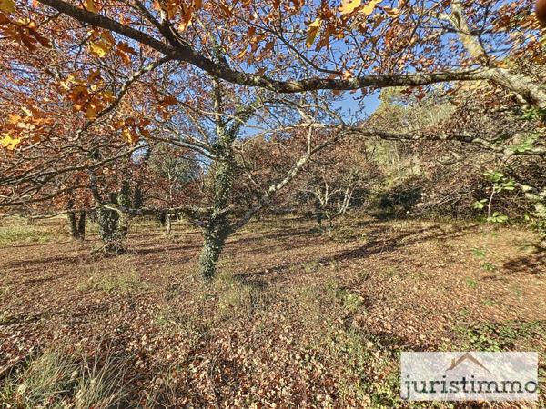 Entrechaux (84340) BELLE PROPOSITION ..... Terrain constructible hors lotissement de 1335 m2 à Entrechaux