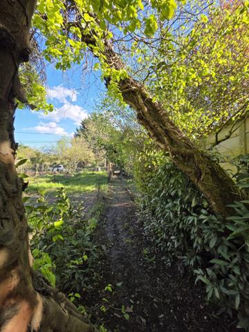 Terrain de loisirs au bord du Clain