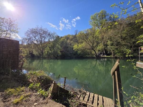 Terrain de loisirs au bord du Clain