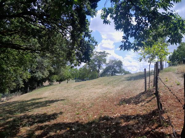 CORPS DE FERME SUR 1 Ha DE TERRAIN ENVIRON A 25 MN D'AURILLAC