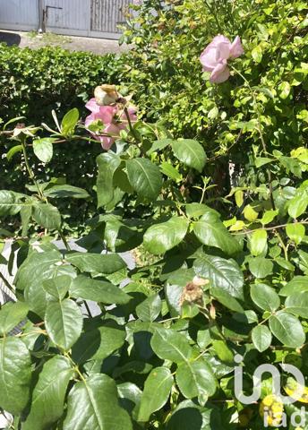 Maison à vendre 6 pièces 156 m² Le Touquet-Paris-Plage