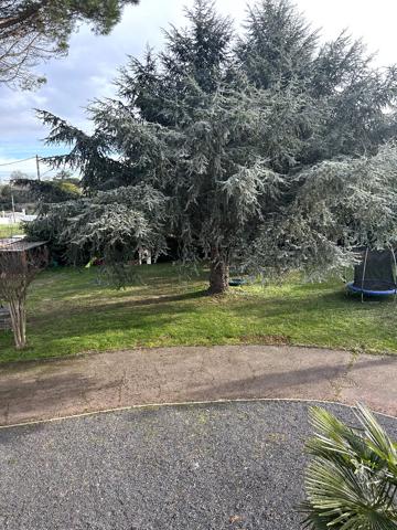 Maison 165m2 + Dépendance(100m2) 1 T3 de 57m2, 1 T2 de 38m2 Fenouillet