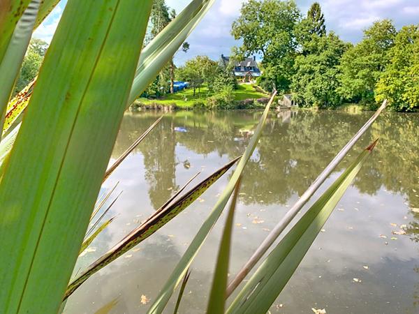 MAISON A VENDRE CLEGUER
