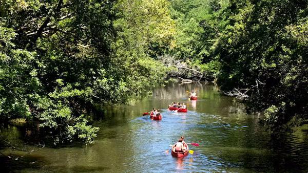 Appartement T3 Le Teich