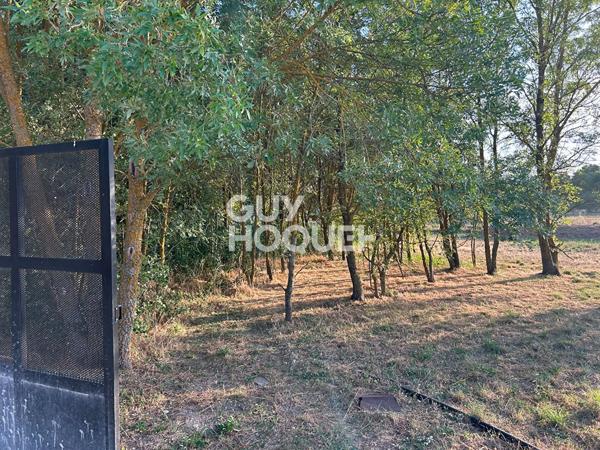 Maison de charme à vendre à L'Isle-sur-la-Sorgue 4 pièces grand terrain 499 000 euros !