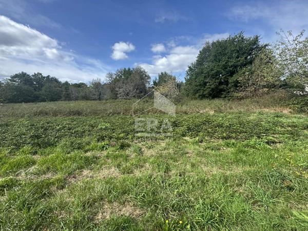 Terrain constructible à vendre à Saint Laurent des Hommes - 11631 m² montpon menesterol 24700 24400