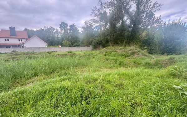 Terrain à vendre    Krautwiller