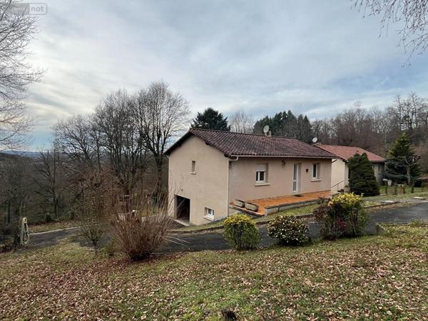 Maison à vendre à Planioles dans le Lot (46100), ref : MAIS143