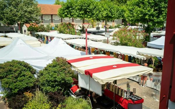 Appartement à vendre    3 pièces • 55,50 m2 Soorts-Hossegor