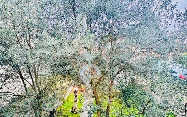 Maison à vendre    4 pièces •  Stains