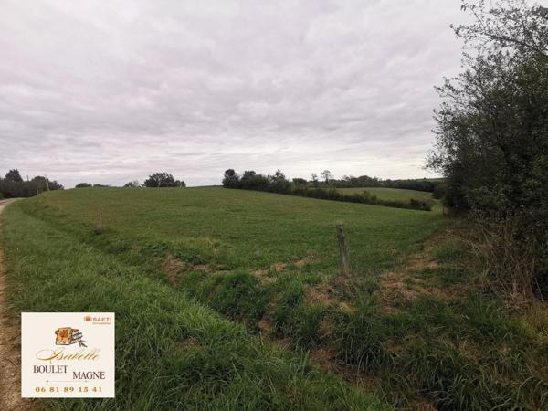 Terrain agricole sans DPU en prairie