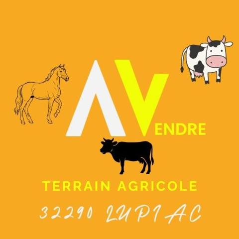 Terrain agricole sans DPU en prairie