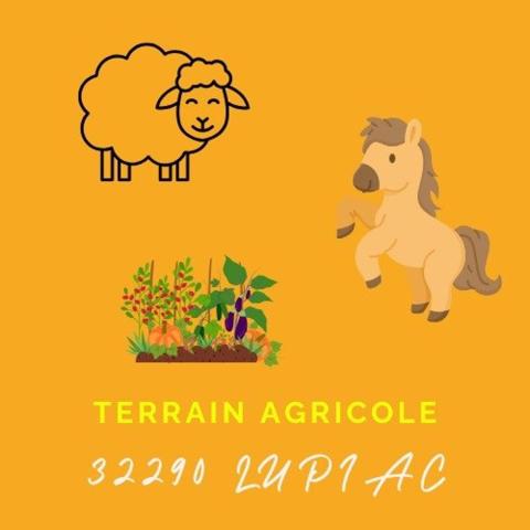 Terrain agricole sans DPU en prairie