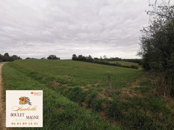 Terrain agricole sans DPU en prairie