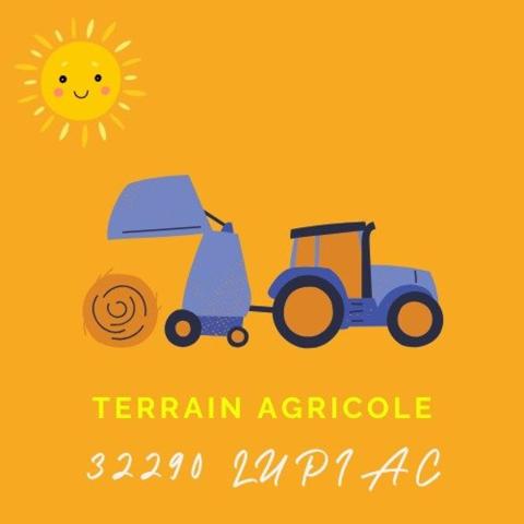 Terrain agricole sans DPU en prairie