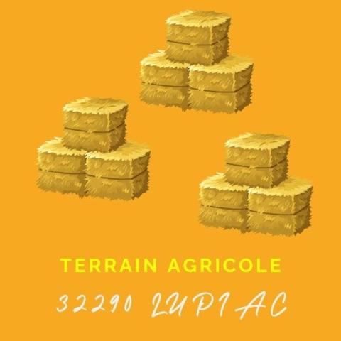 Terrain agricole sans DPU en prairie