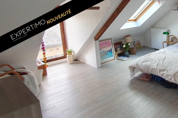 Hédé-Bazouges (35630) Grande maison familiale centre bourg jardin clos sans vis à vis