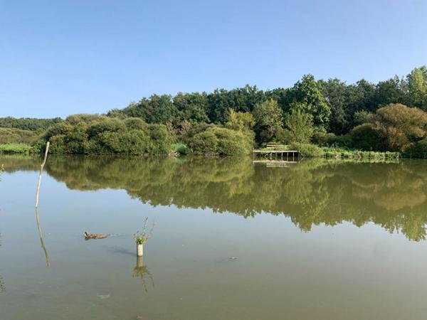 Terrain de Loisirs 1899 m² sur la chevroliere