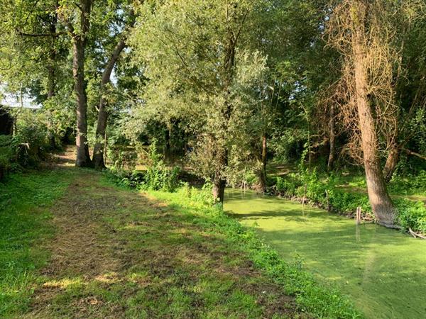 Terrain de Loisirs 1899 m² sur la chevroliere