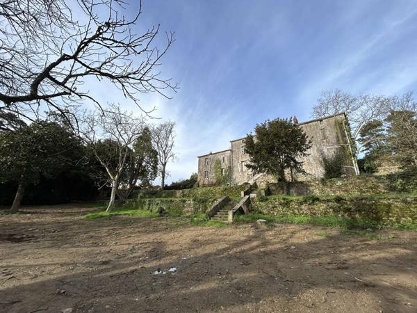 MONTAIGU-VENDEE / Vente Terrain 401 m²