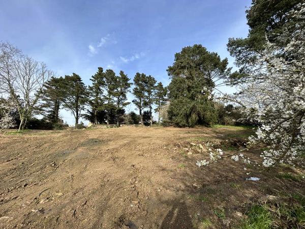 MONTAIGU-VENDEE / Vente Terrain 401 m²