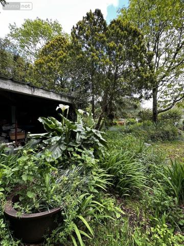 Maison à vendre à Arradon dans le Morbihan (56610), ref : 56003-1422