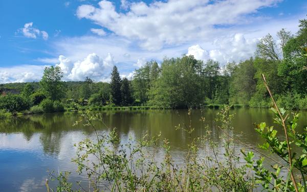 Terrain à vendre    Lachapelle-sous-Chaux