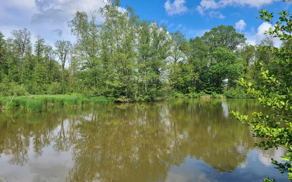 Terrain à vendre    Lachapelle-sous-Chaux