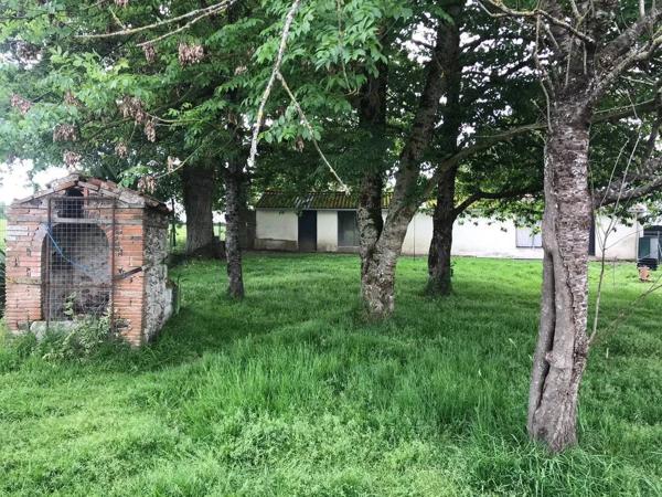 pension et élevage canins et félins avec habitation