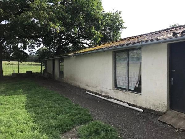 pension et élevage canins et félins avec habitation