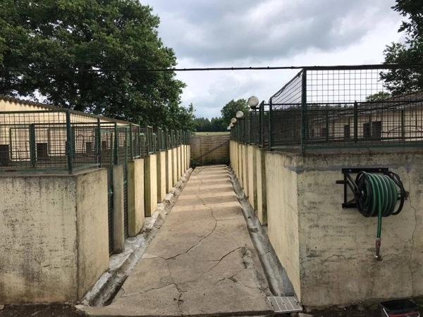 pension et élevage canins et félins avec habitation