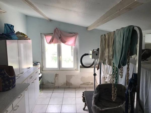 pension et élevage canins et félins avec habitation