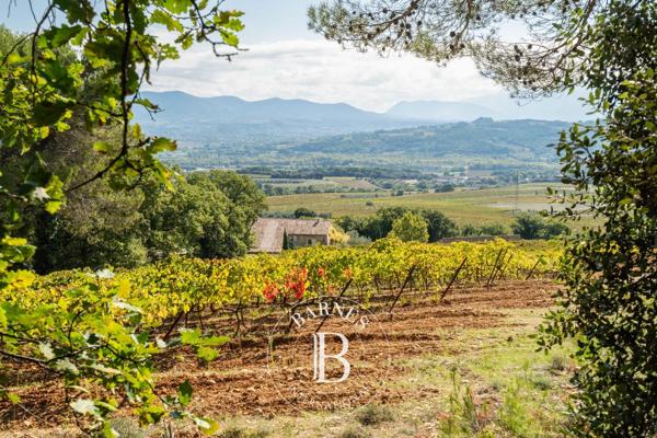 Vaison-la-Romaine, Propriété viticole 4 Chambres -  310 m² à vendre
