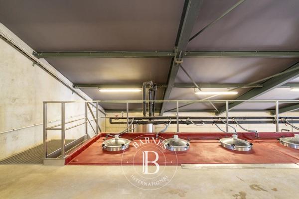 Vaison-la-Romaine, Propriété viticole 4 Chambres -  310 m² à vendre