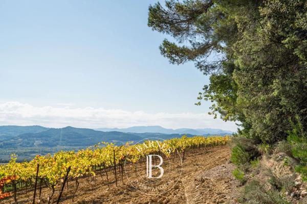 Vaison-la-Romaine, Propriété viticole 4 Chambres -  310 m² à vendre