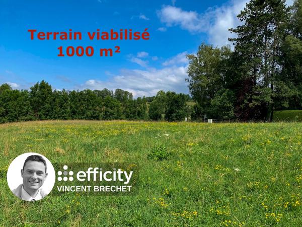Terrain - 1000 m²